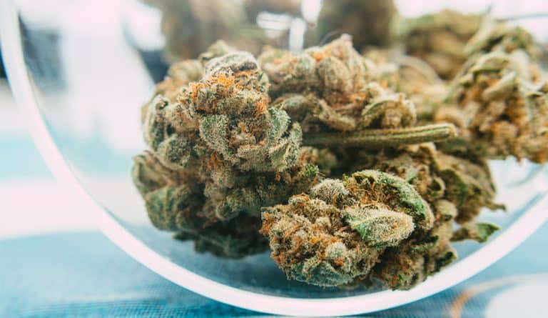 Medizinisches Cannabis